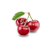 Branch Apple – Image 3