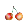 Branch Apple – Image 4
